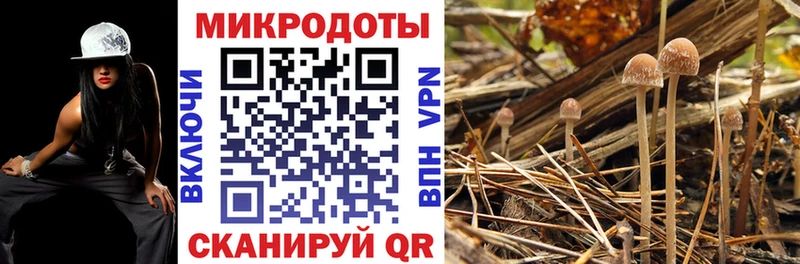как найти закладки  Щёкино  ОМГ ОМГ ссылки  Псилоцибиновые грибы мухоморы 